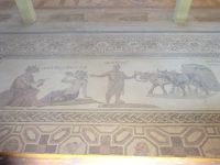 Paphos: Rundgang: Archäologischer Park: Mosaike