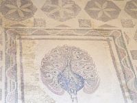 Paphos: Rundgang: Archäologischer Park: Mosaike