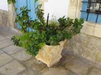 Larnaka: Rundgang