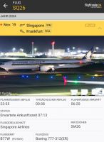 Singapore Airlines - Heimreise