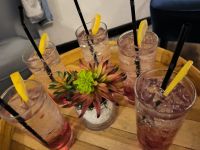 Malaysia. Cameron Highlands. Absacker im Strawberry Park Resort