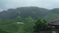 Malaysia. Cameron Highlands