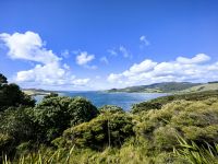 Landschaft bei Opononi