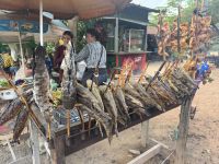 ...auf dem Markt von Preah Dak (6)