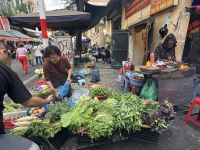 ...auf dem Markt in Hanoi (4)