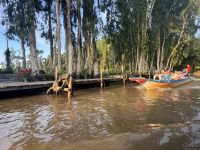 ...Mit dem Boot durch den Mangrovenwald (3)