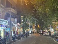 ...nächtlicher Spaziergang zum Restaurant in Hanoi (5)