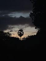 Angkor Wat um 04 Uhr früh (1)