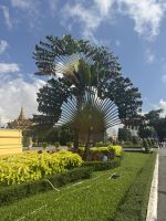Königspalast Phnom Penh (1)