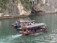 ....reges Treiben auf dem Wasser