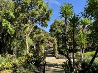 14. Tag – Im Tal von San Gerardo de Dota – Gartenanlage des Hotels