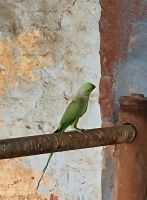 Pausen Locations mit leckeren Snacks (3)