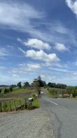 Ausblick vor dem Kauri Museum
