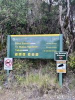 Weg zum 2. größten Kauri