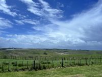 Landschaft Neuseelands