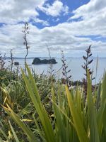 An der Cathedral Cove
