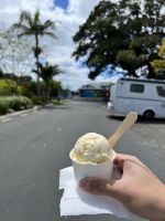 Hokey Pokey Eis