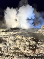 Maori Kultur Te Puia - Geysir