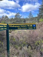 Nature Walk