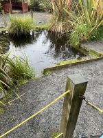 Nga Manu Nature Reserve