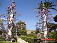 In den Vatikanischen Gärten