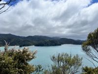 Abel Tasman Nationalpark - Waldspaziergang