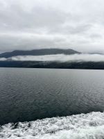 Auf dem Weg zur Glühwürmchenhöhle