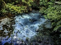 Geothermalquelle in Rotorua