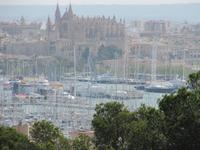 Kathedrale Palma Blick vom Castell
