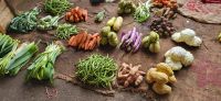 6. Marktbesuch in Colombo