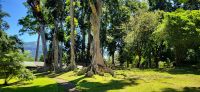 82 Botanischer Garten