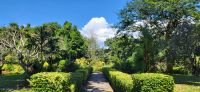 84 Botanischer Garten