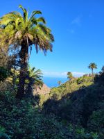 Wanderung von Rosas zum Mirador de Abrante/La Gomera/Kanaren