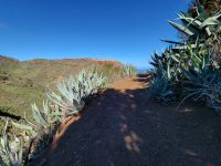 Wanderung von Rosas zum Mirador de Abrante/La Gomera/Kanaren