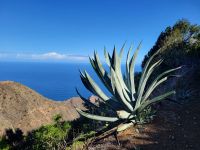 Wanderung von Rosas zum Mirador de Abrante/La Gomera/Kanaren