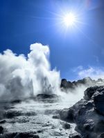 Ein Geysir bricht aus, Te Puia
