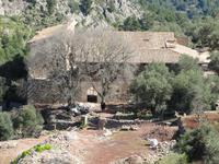 mallorquinisches Gehöft