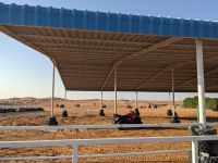 118. Wüstensafari Dubai