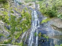 Cairns: Tagesausflug Kuranda 