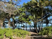 Cairns: Port Douglas 