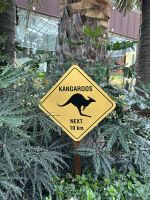 Singapur: Flower Dome