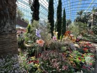 Singapur: Flower Dome