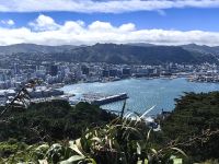 Das Stadtzentrum Wellingtons