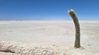 Uyuni Salzsee