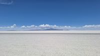 Uyuni Salzsee: Insel Incahuasi