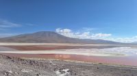 Laguna Colorada