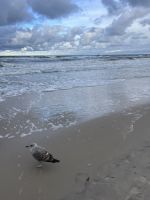 Strand von Kolberg