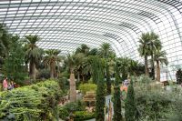 009 - Singapur, Gardens by the Bay