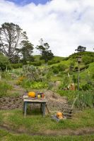 142 - Hobbiton