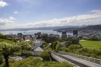 203 - Wellington